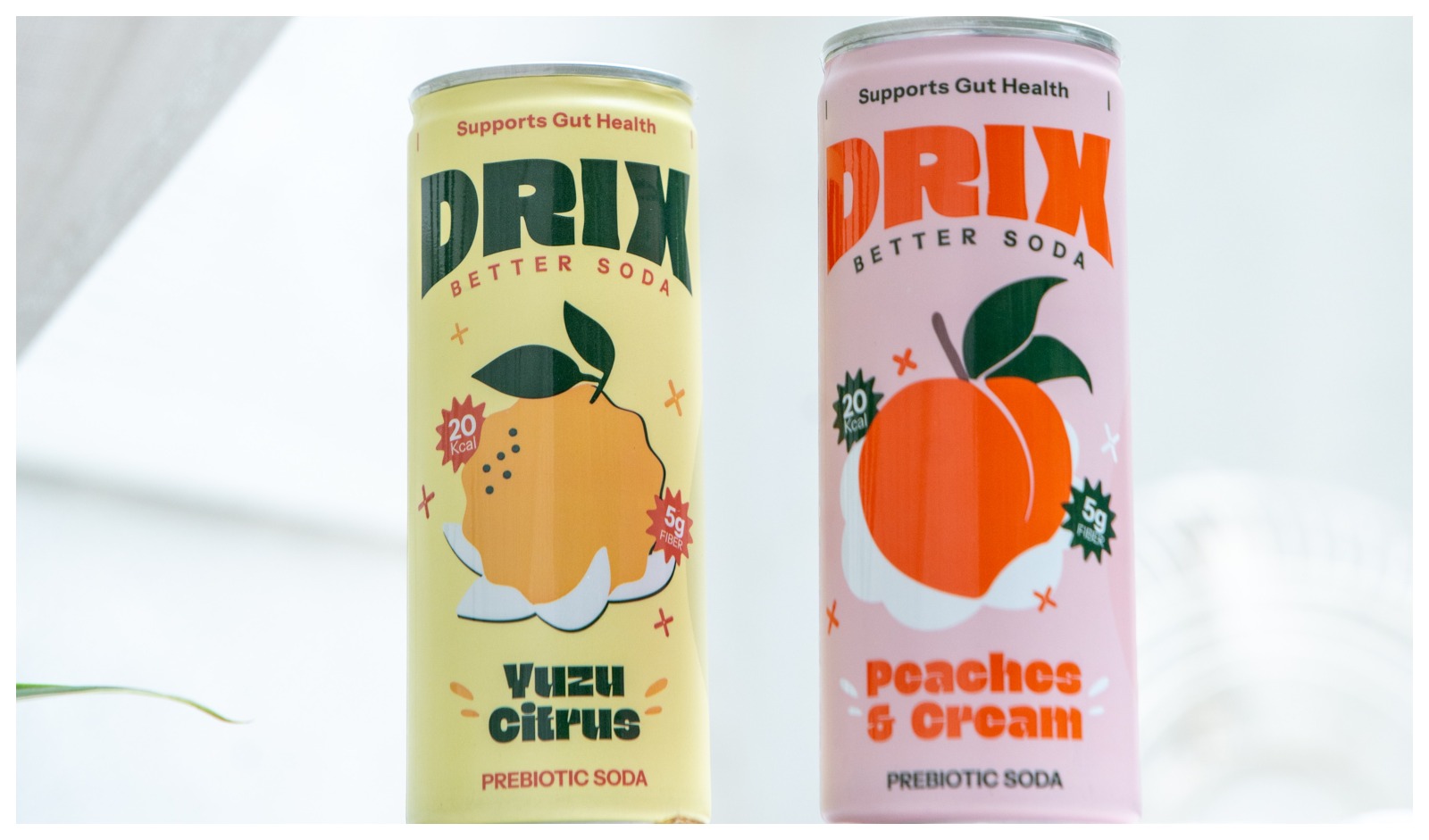 Restaurant India News: ‘DRIX’ a Culture-Forward House of Functional Beverages Launches it’s First Line Prebiotic Sodas