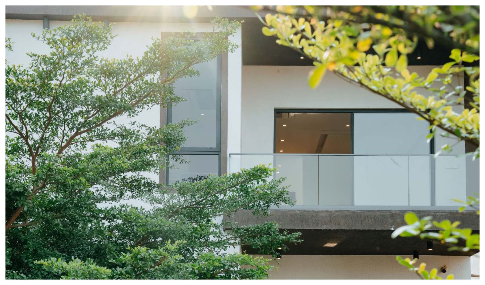 Restaurant India News: Carlton Wellness Group Under EBG Group, Unveils 40 Luxury Wellness Resort Villas in Ongole
