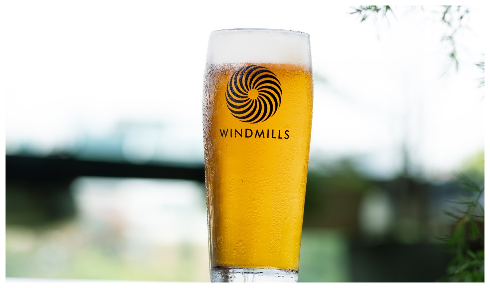 Restaurant India News: Windmills Craftworks Launches Festbier for Oktoberfest