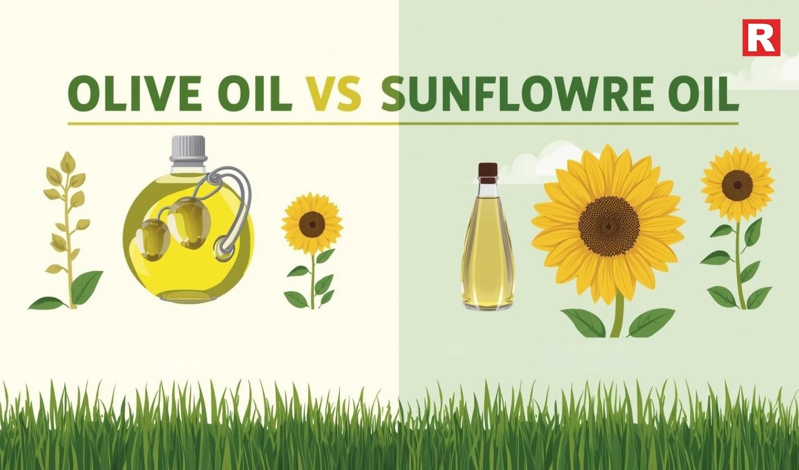 Olive Oil vs Sunflower Oil: 7 Differences to Spot the Healthy One for You
