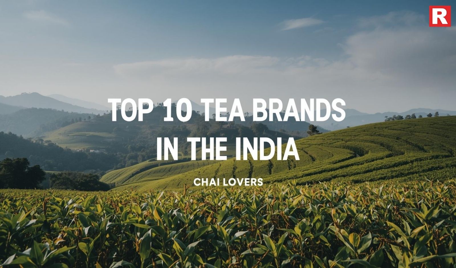 Top 10 Tea Brands in India That Every Chai Lover Swears By