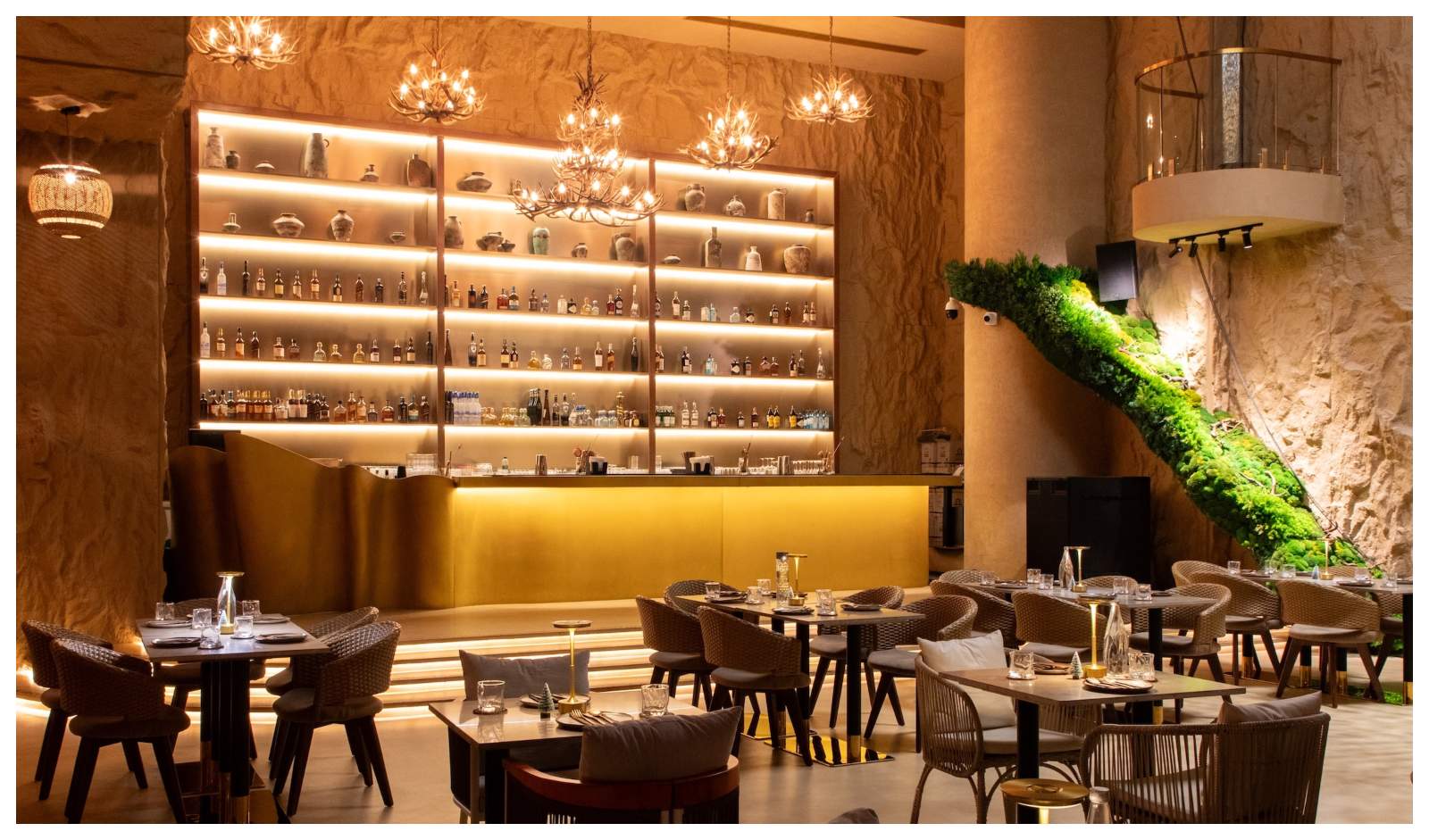 Restaurant India News: CAVORE Opens as a New Dining and Nightlife Spot in Bengaluru