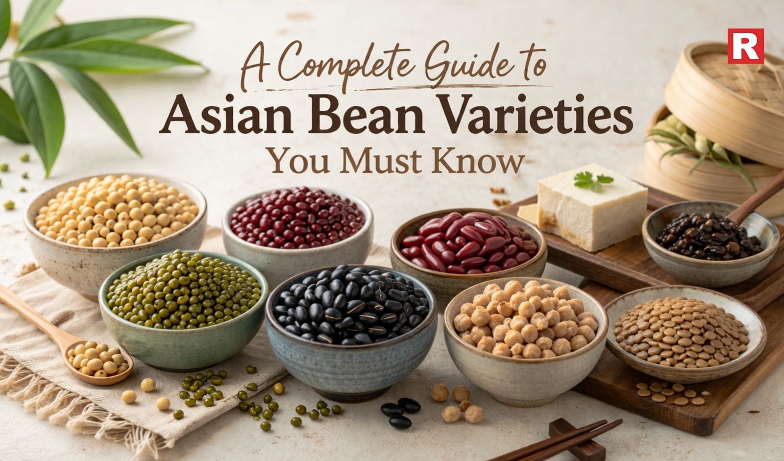 A Complete Guide to Asian Bean Varieties You Must Know