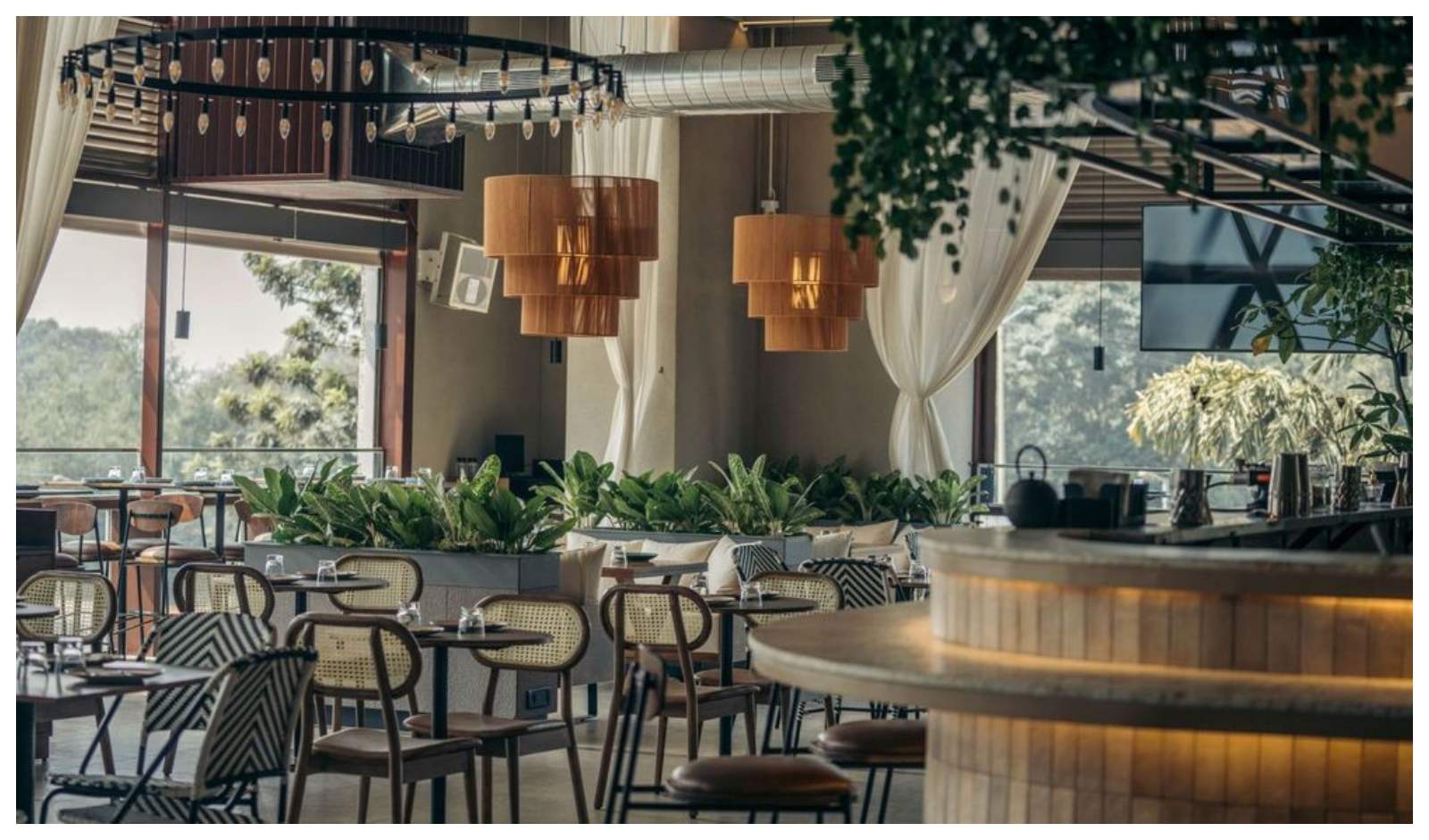 Dining for the Lens: How Social Media is Fueling India’s “Camera Eats First”