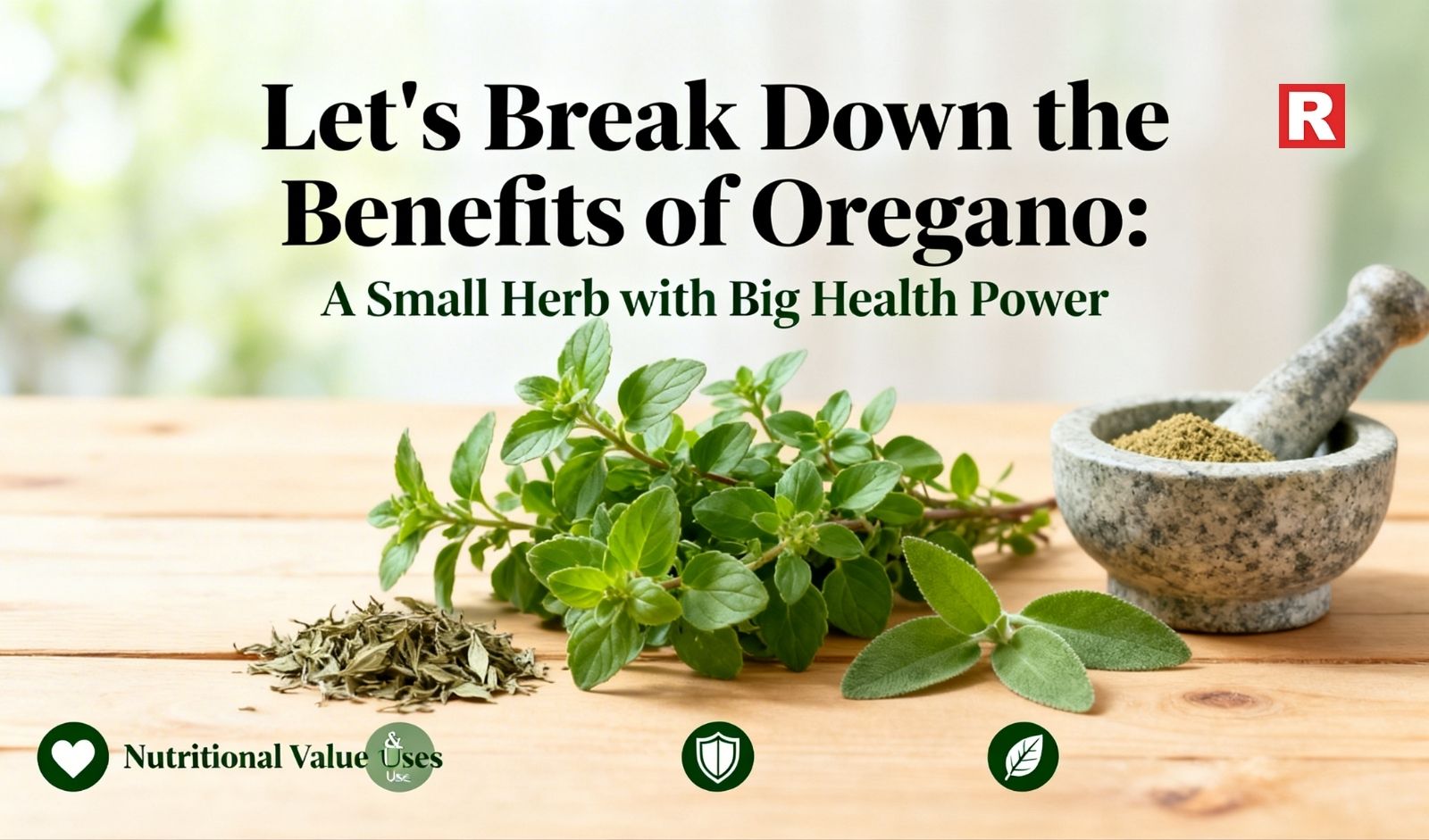 Let’s Break Down the Benefits of Oregano: A Small Herb with Big Health Power