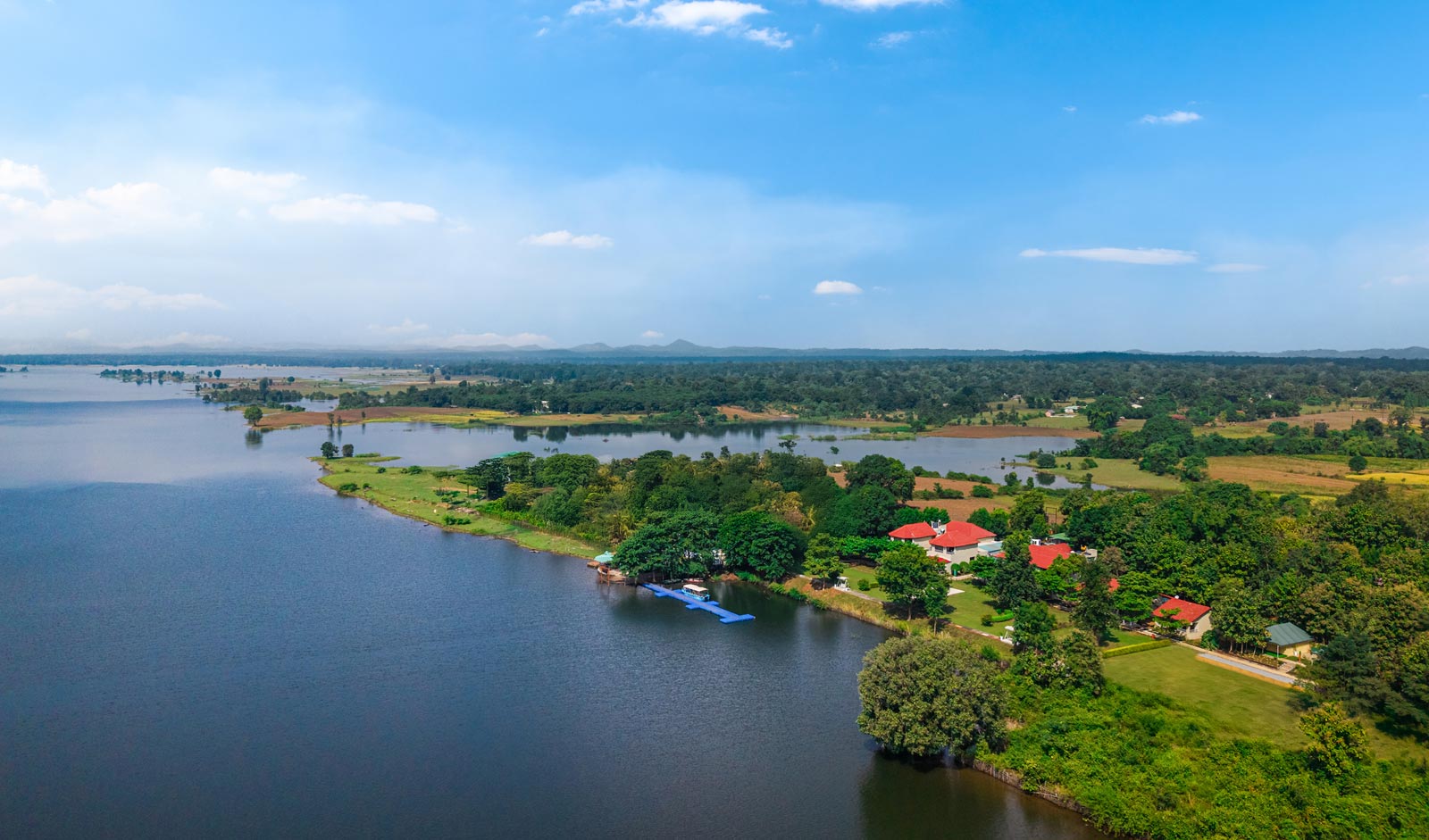 Restaurant India News: Sayaji Hotels Introduces ‘The Forest Chapter’