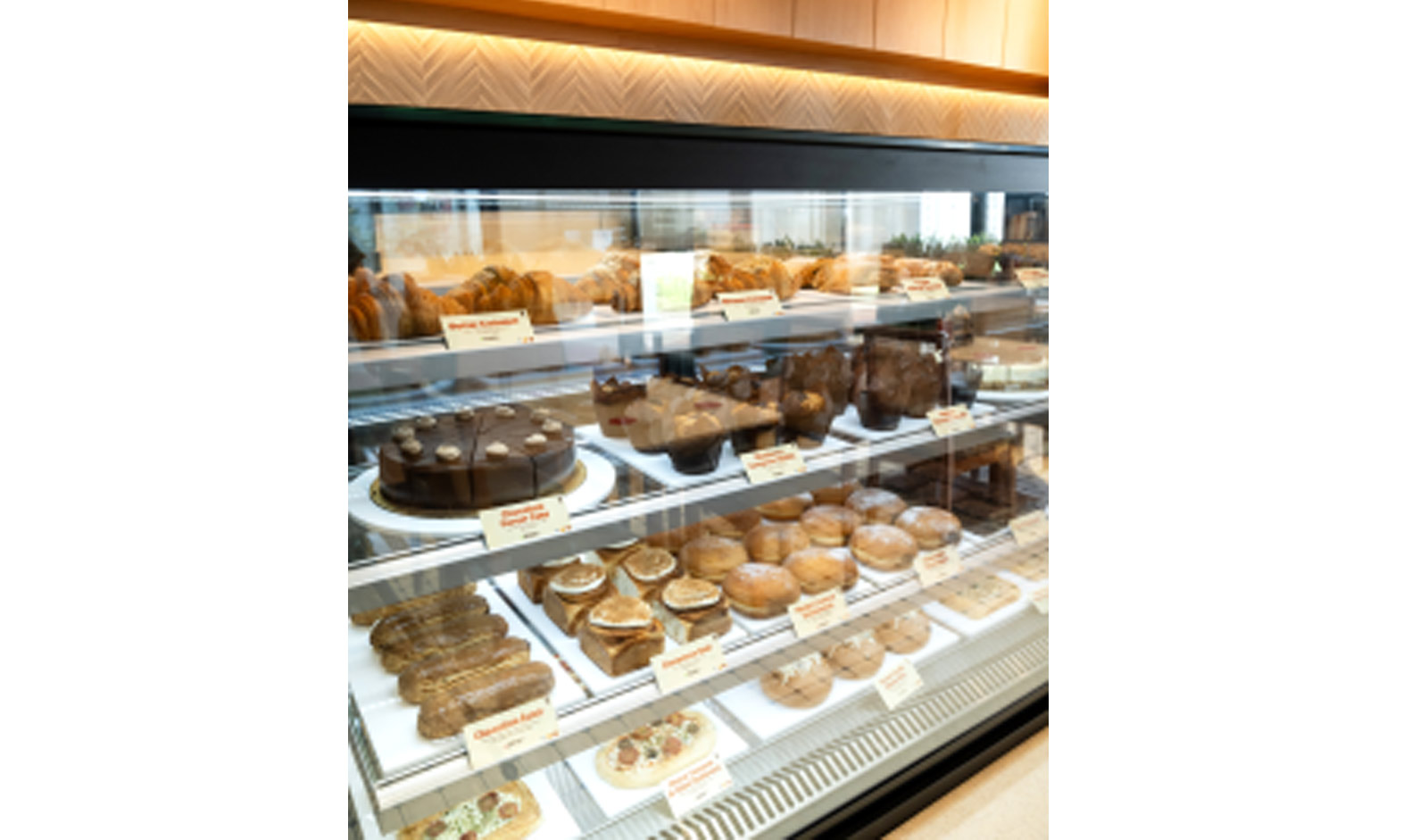 Restaurant India News: Bird Foods Introduces Freddo Bakehouse with First Outlet in West Delhi 