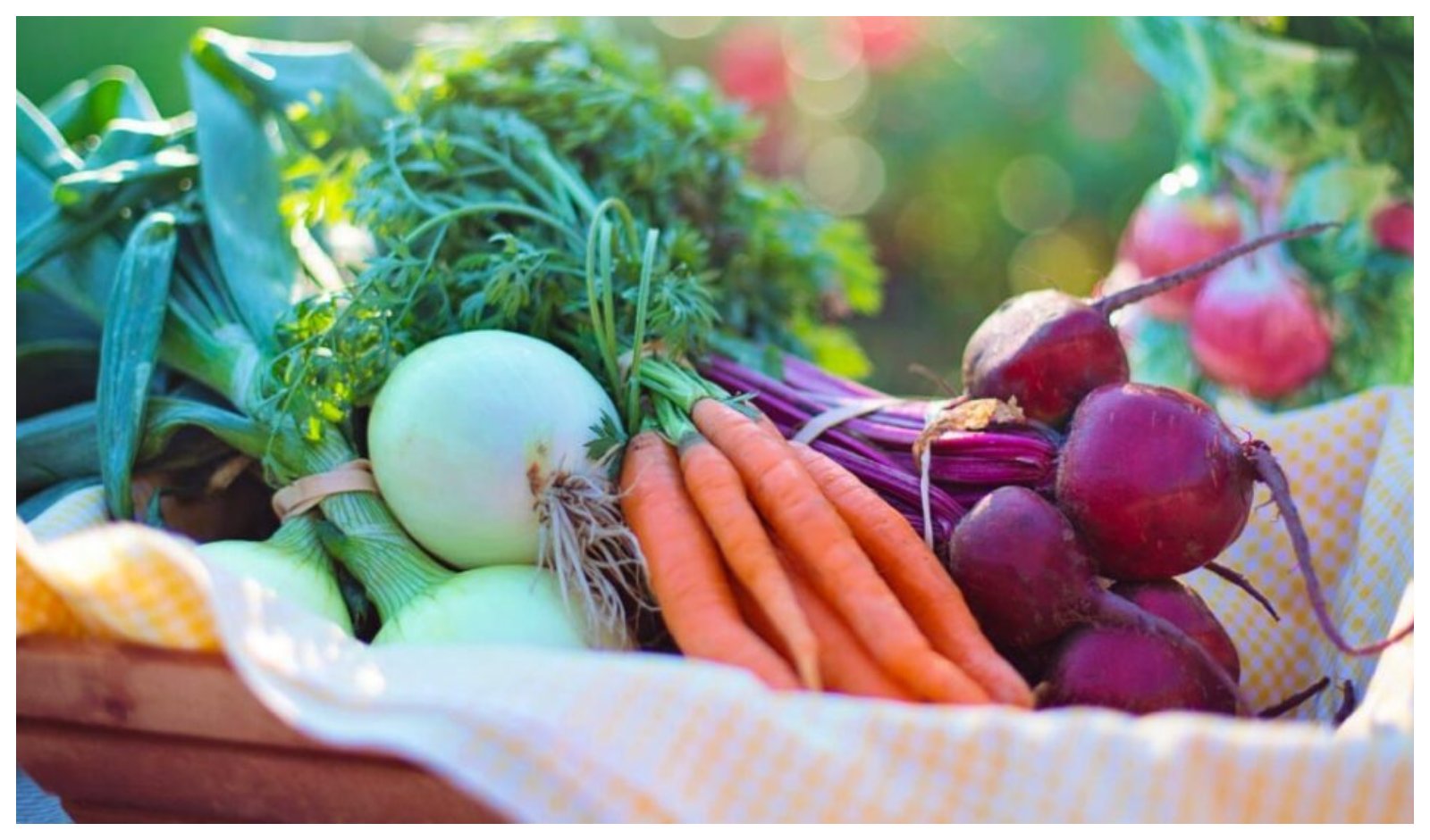 How Hyper-Local Indian Cuisine Pop-Ups Are Becoming Hospitality’s Strongest Differentiator