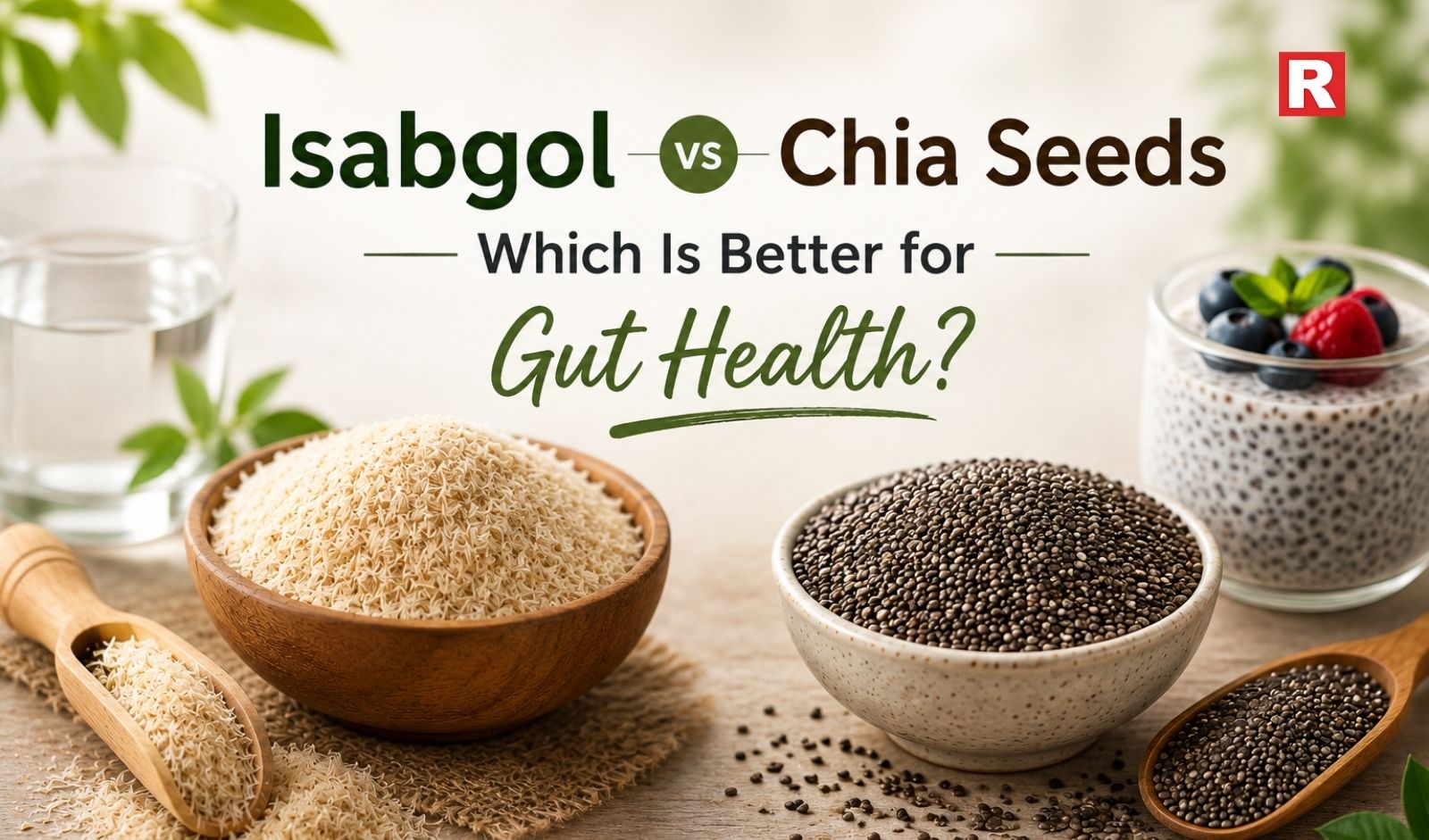 Isabgol vs Chia Seeds: Which Is Better for Gut Health?