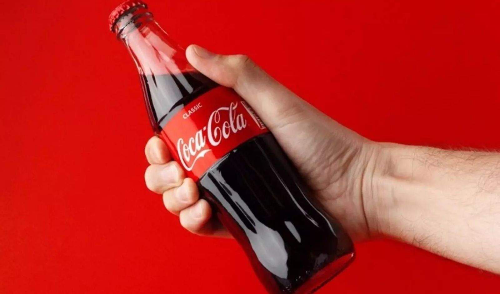 Restaurant India News: Coca-Cola Plans $1 Billion HCCB IPO, Invites Banks for Underwriting Mandate