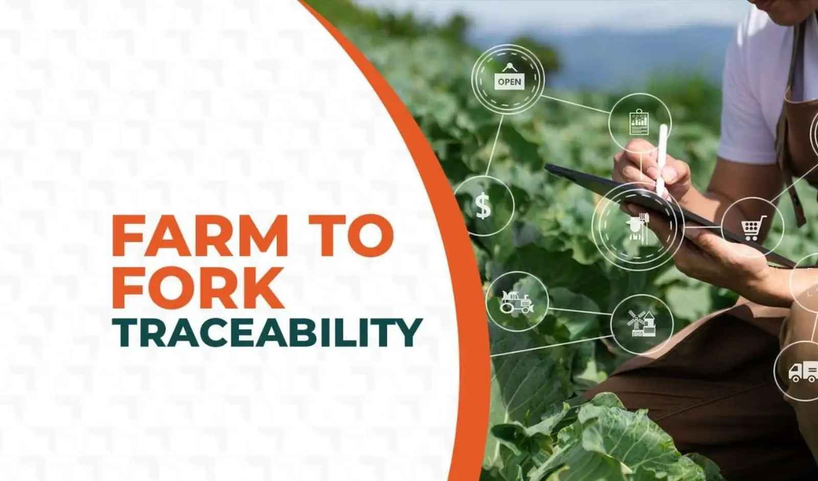 NITI Aayog Plans Farm-to-Fork Food Traceability System Across India