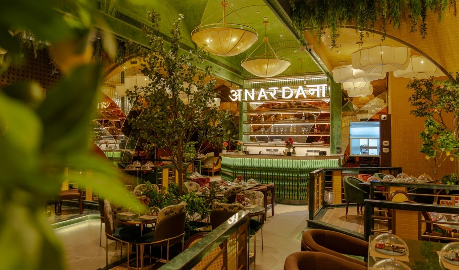 Restaurant India News: Vegas Mall Adds Contemporary Indian Brand Anardana to F&B Mix