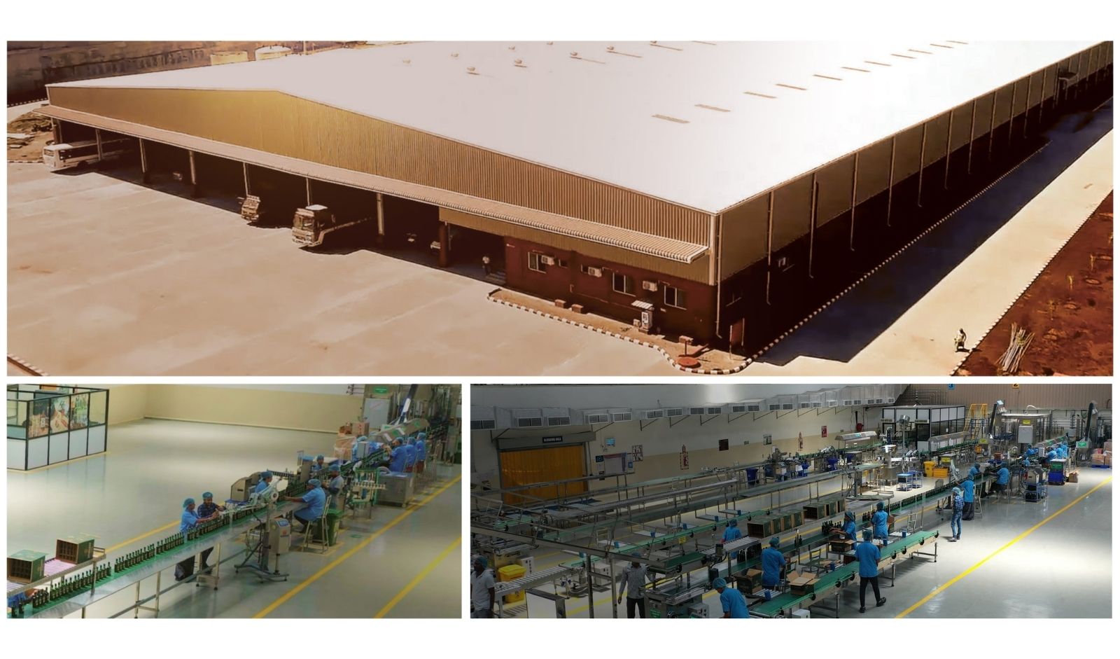 GGVL Produces More Than 1 Million Cases in a Single Month