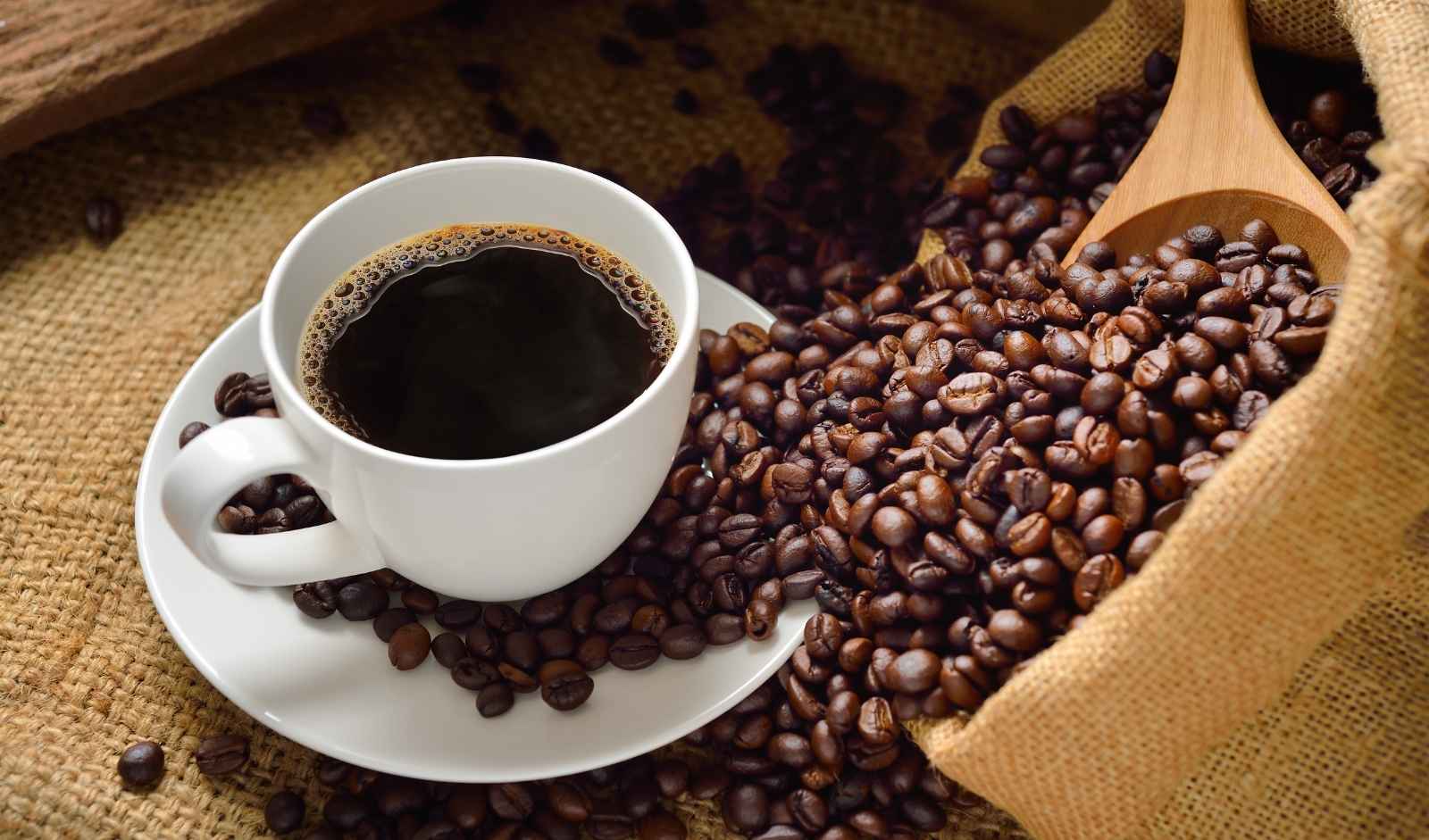 These Café Ingredients Were Once Niche. Now They’re Going Mainstream