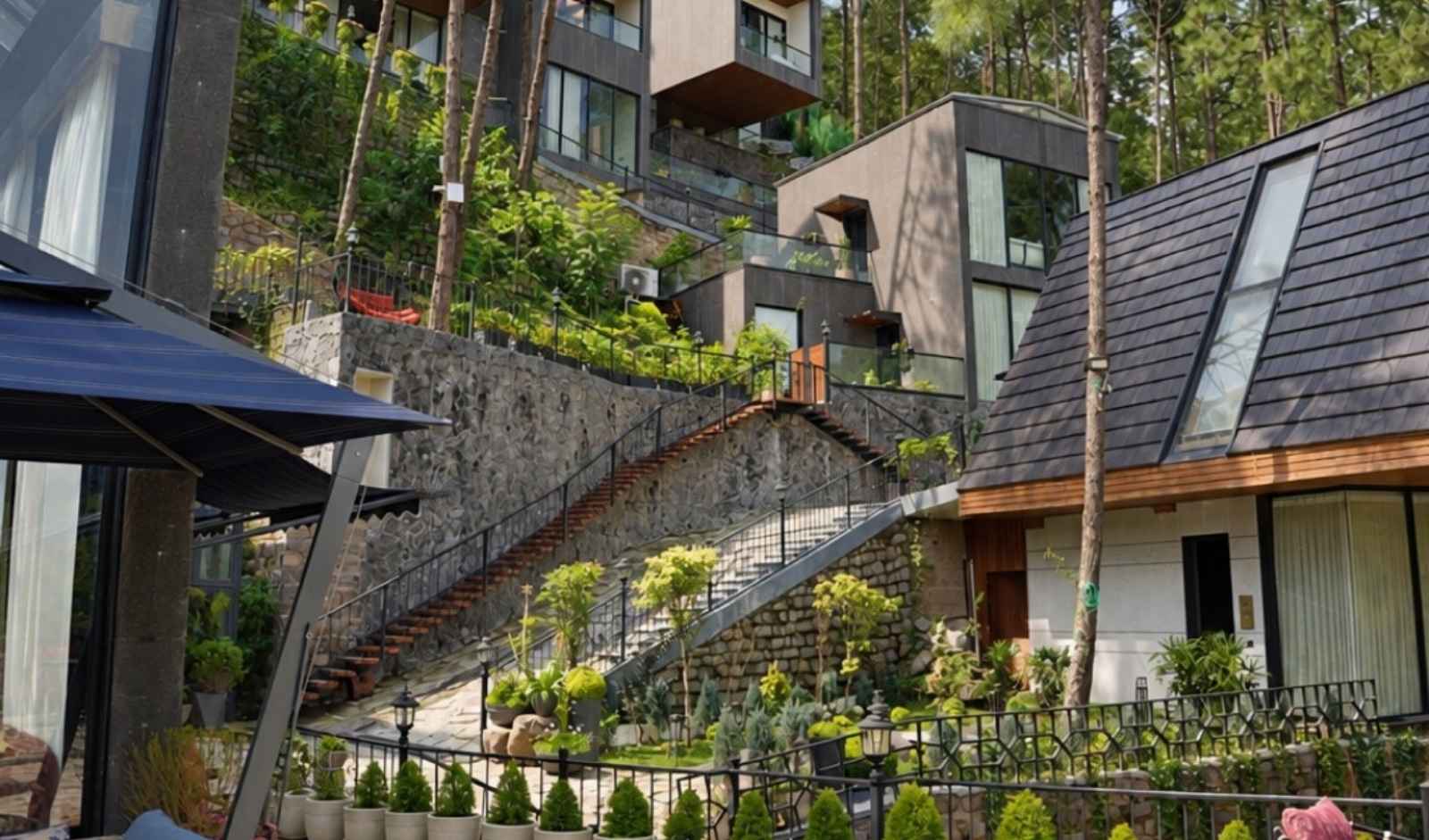 Van Rāsa Opens in Kasauli With 16-Key Retreat and Syāhi Restaurant