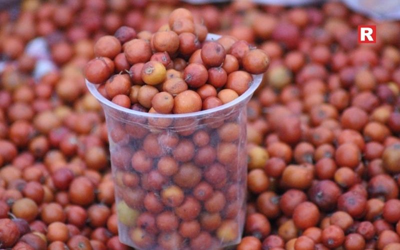 11. Ber (Indian Jujube)