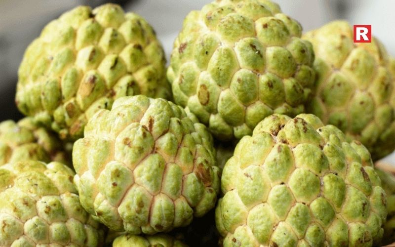 3. Custard Apple (Sitaphal)