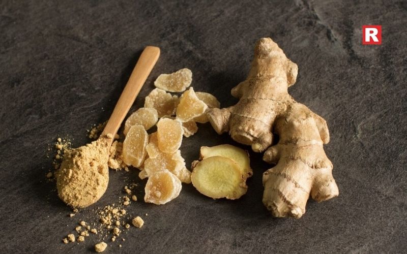 6. Ginger – The Ancient Traveler
