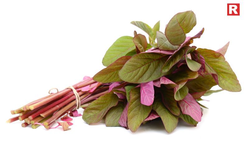 Amaranth Leaves – A Forgotten Green Superfood