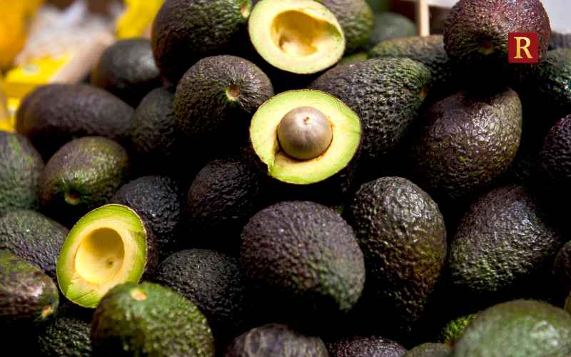 Avocado