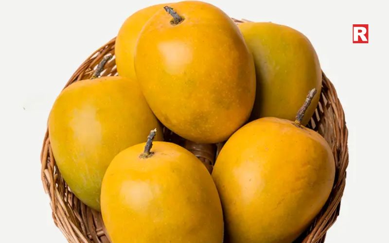 Badami Mango – Karnataka's Alphonso