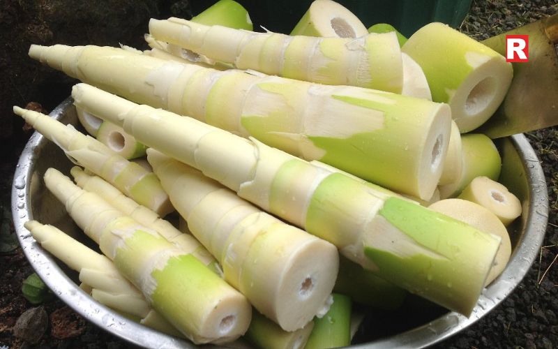 Bamboo Shoots