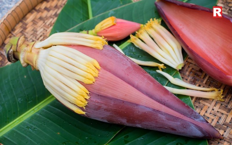 Banana Blossom (Kele ka Phool)
