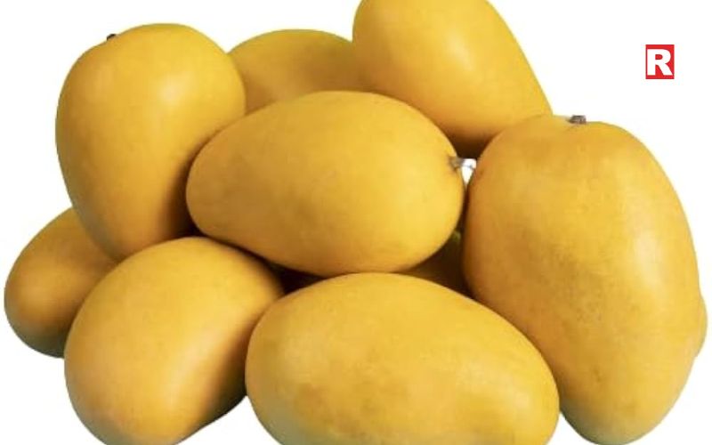 Banganapalli Mango – Andhra Pradesh's Pride