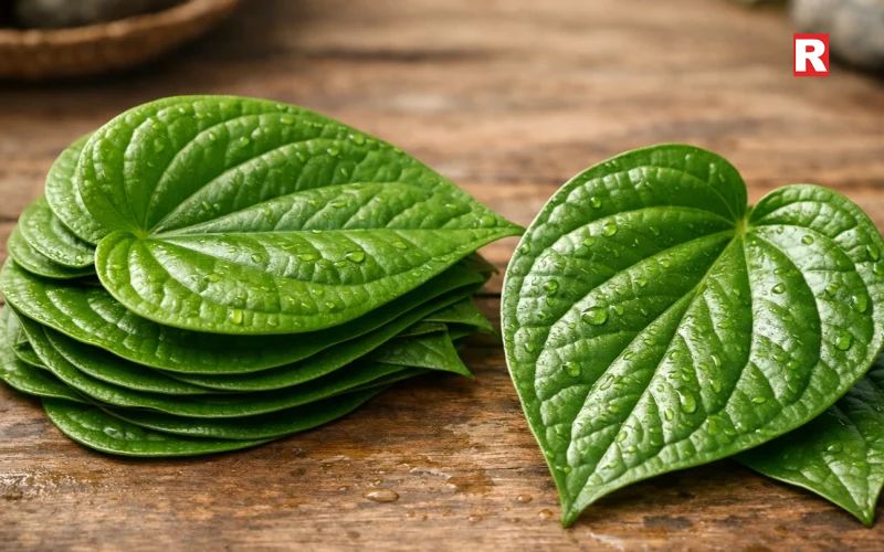 Health Benefits of Betel Leaves
