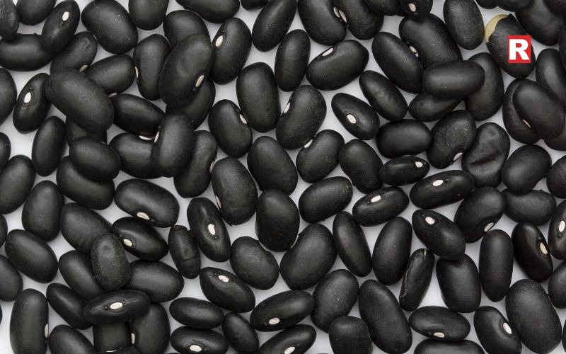 Black Beans (Asian Variety)