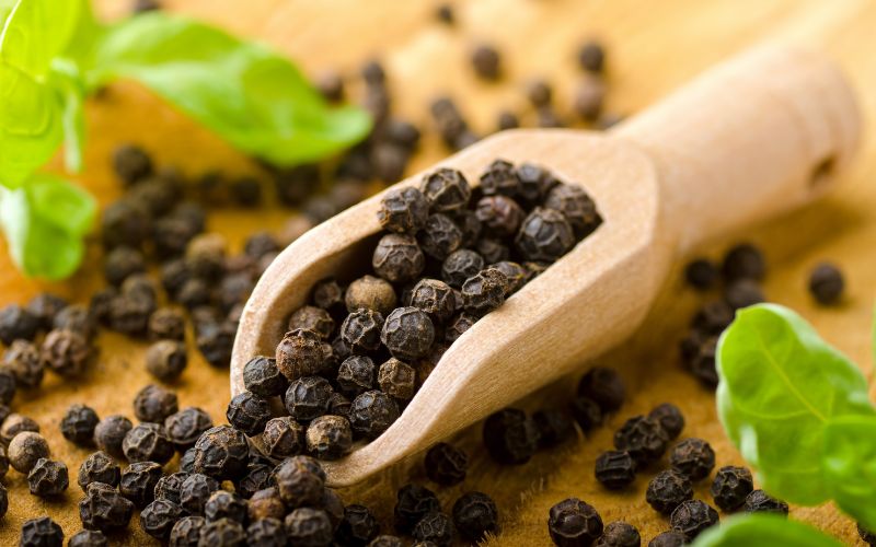 Black Pepper – The King of Spices