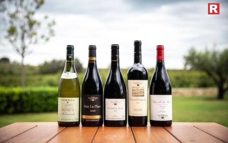 Bodegas Torres – Spain