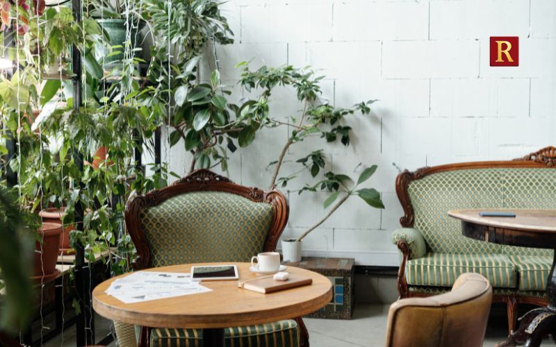 Bring Nature Indoors