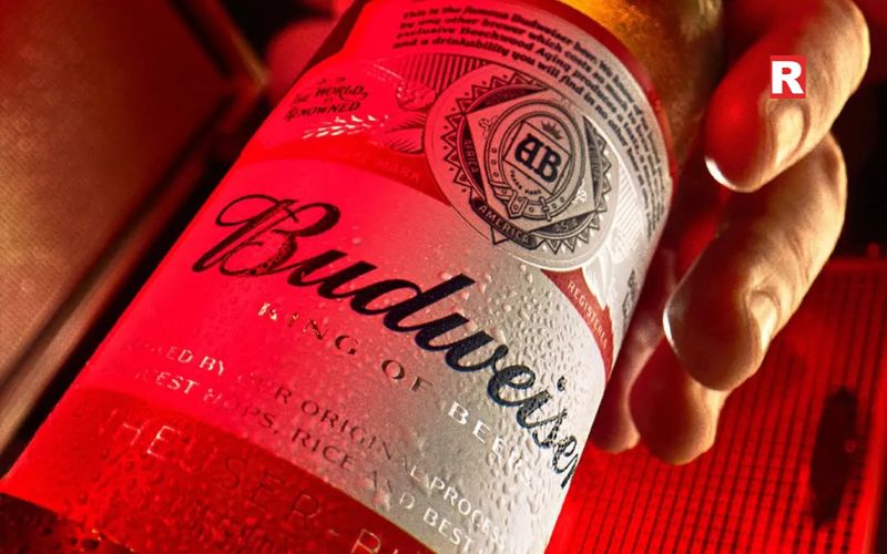 Budweiser – Magnum & Premium Lager