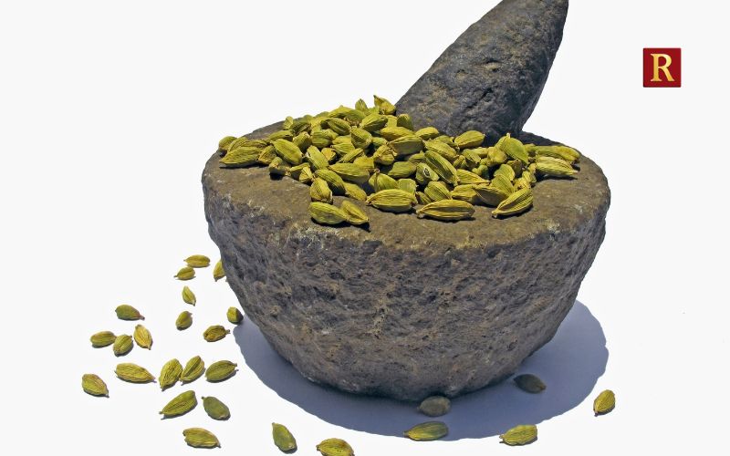 Cardamom (Elaichi)