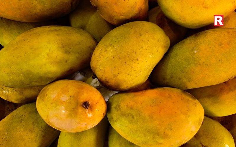 Chausa Mango – A Burst of Sweetness