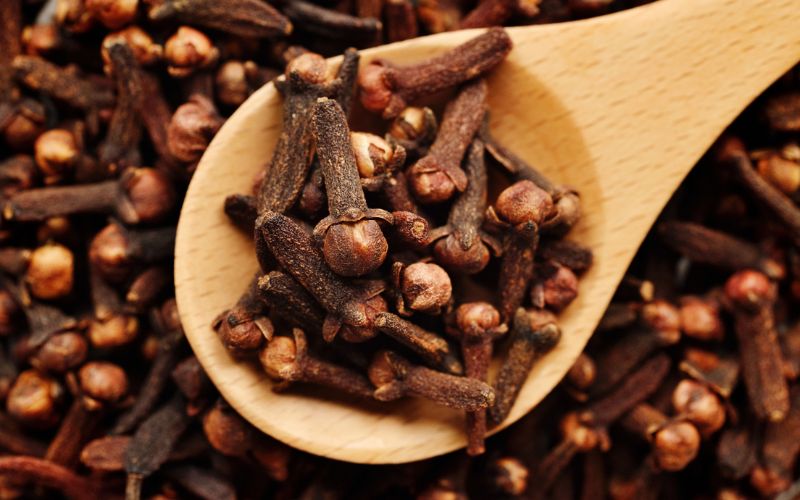 Cloves – Tiny but Powerful