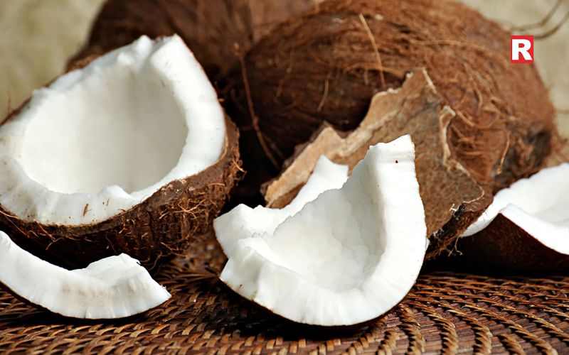 Coconut: The Cooling Base