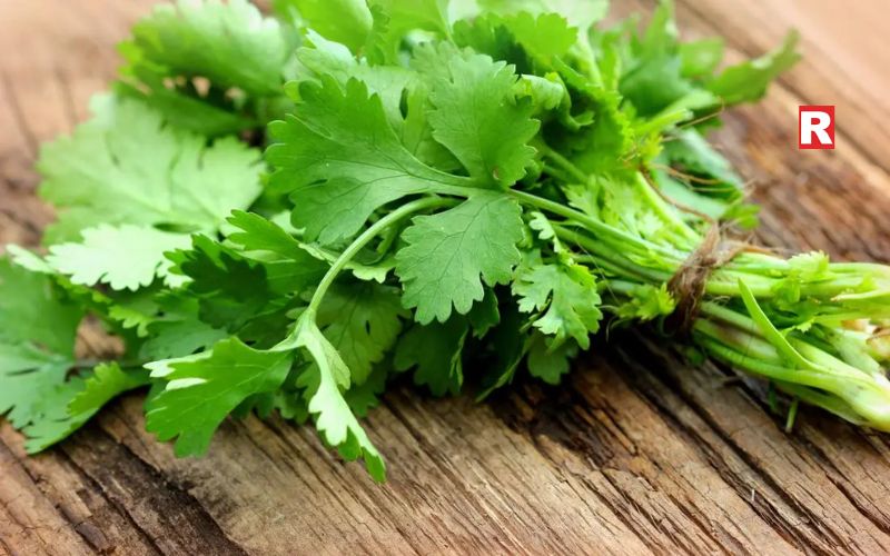 Coriander: A Detox-Friendly Herb