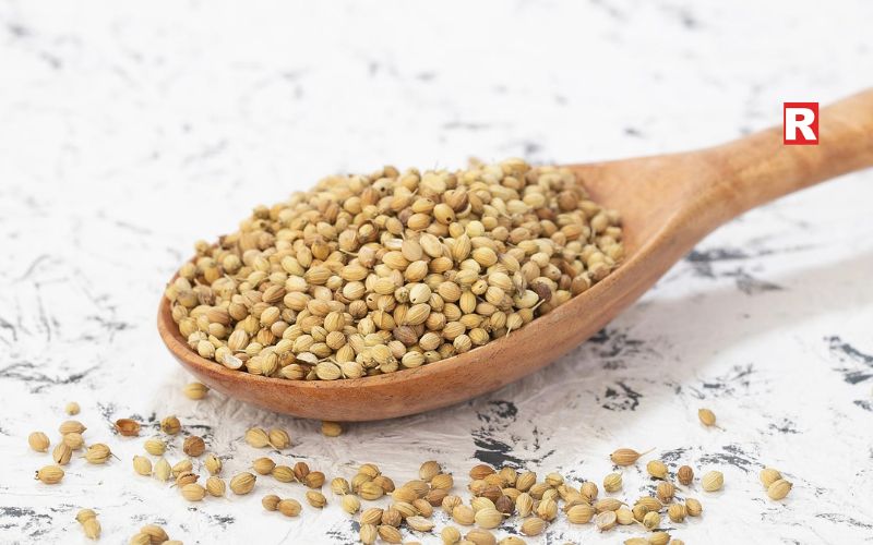  Coriander Seeds (Dhania)