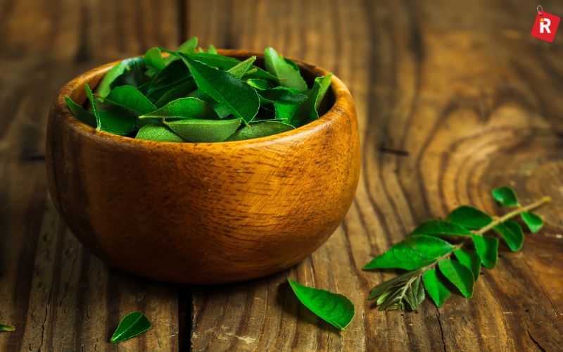 Curry Leaves – The Fragrant Green Gold