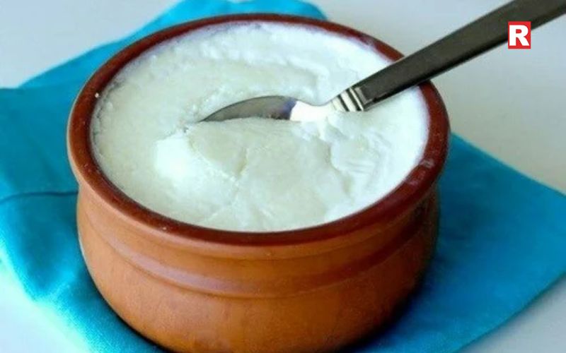 Dahi Has Become India’s Biggest Summer Staple