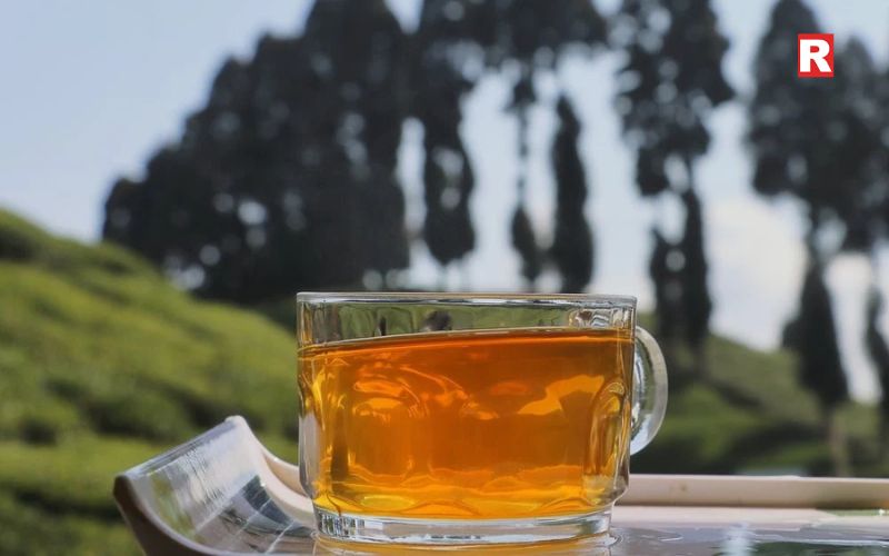 Darjeeling Tea — The Pride of the Hills