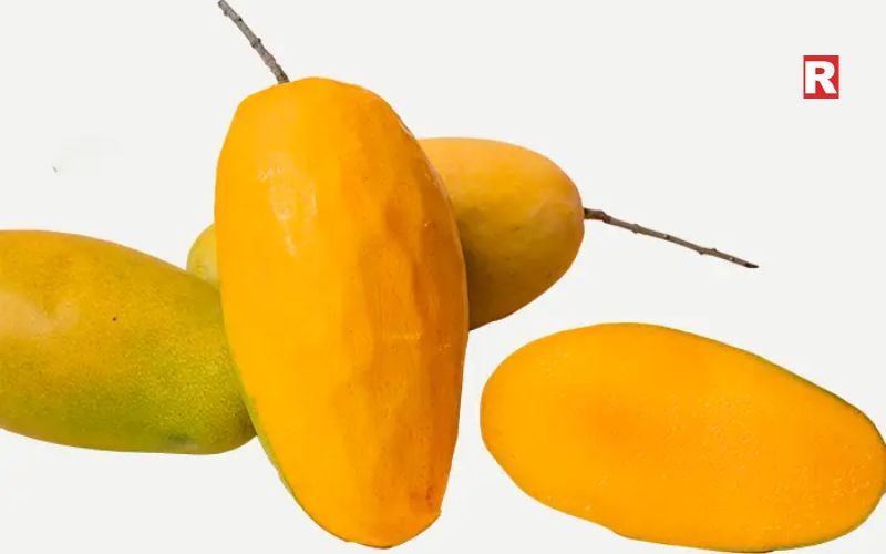 Dasheri Mango – North India's Favorite