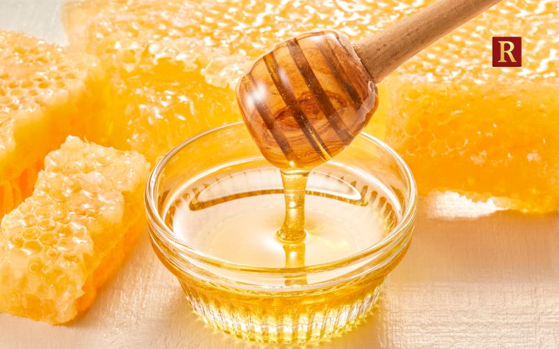 Forest Honey