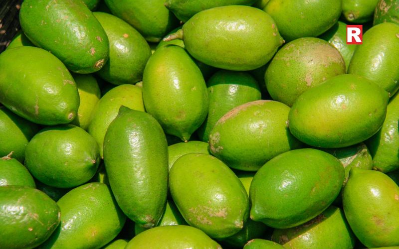 Gondhoraj Lebu from West Bengal