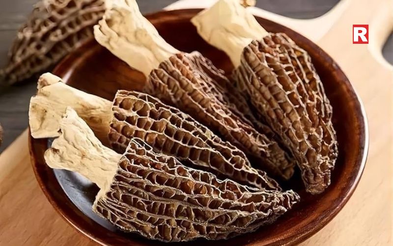 Gucchi (Morel Mushroom)
