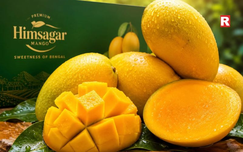 Himsagar Mango – Bengal's Sweet Delight