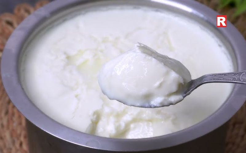 Homemade Curd (Dahi)