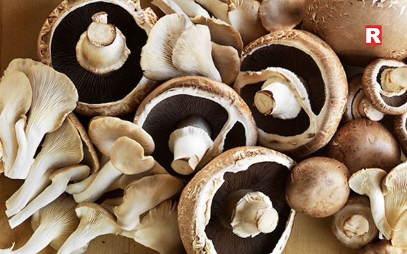 How Mushrooms Help in Weight Loss
